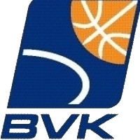 Logo BVK Holice 